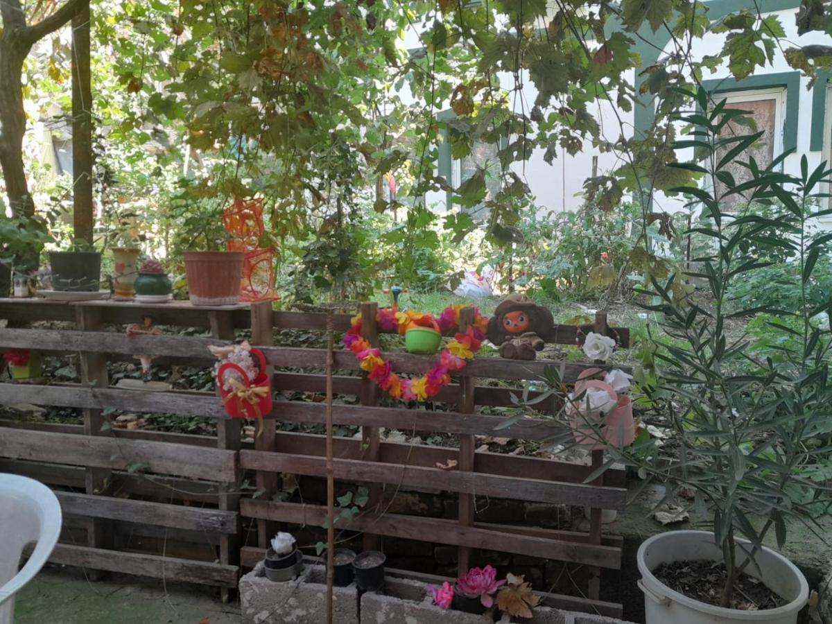 Adem'S Cozy Terrace Retreat Bed & Breakfast Skopje Bagian luar foto