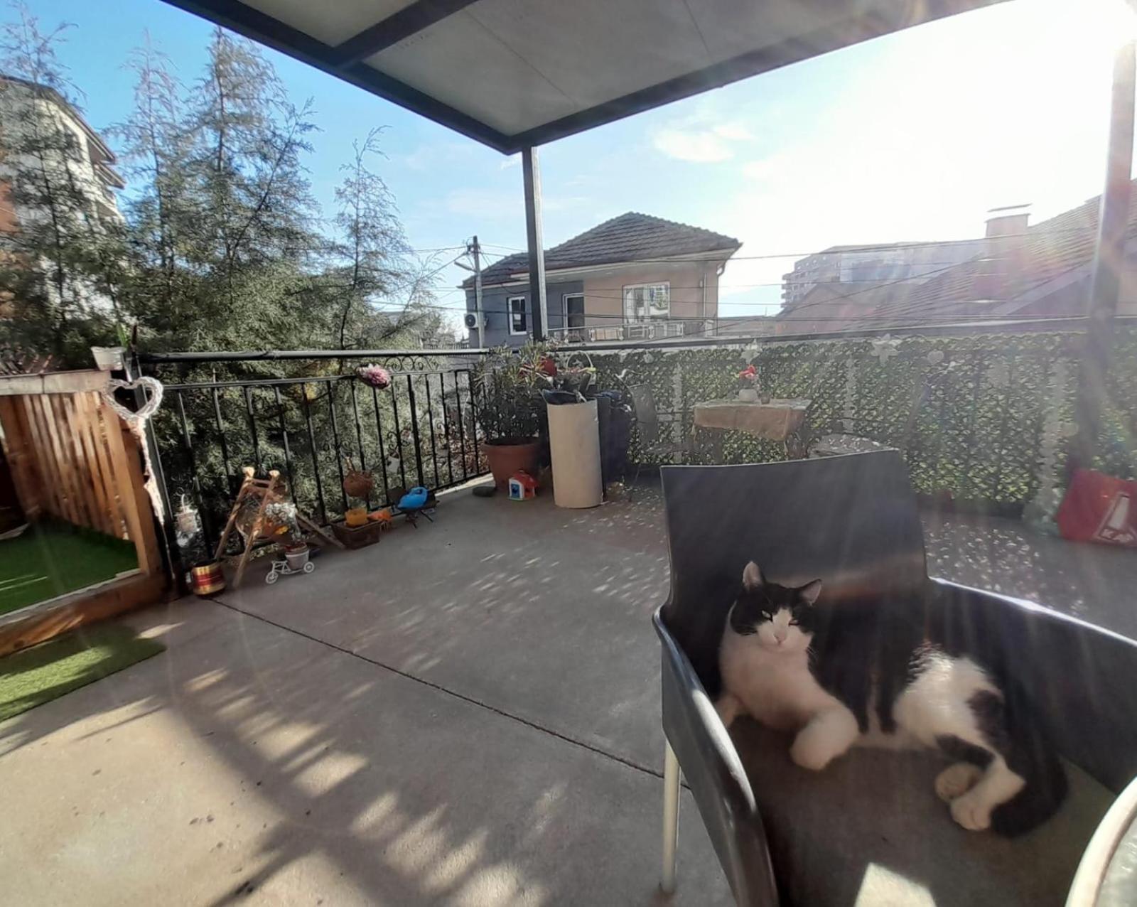 Adem'S Cozy Terrace Retreat Bed & Breakfast Skopje Bagian luar foto